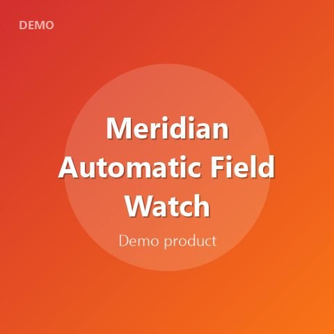Meridian Automatic Field Watch